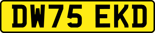 DW75EKD