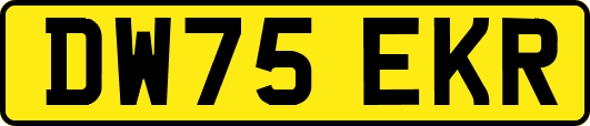 DW75EKR