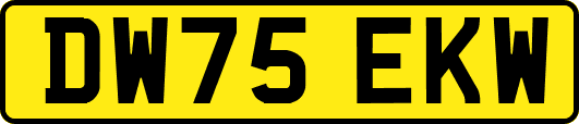 DW75EKW
