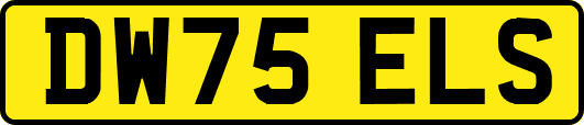DW75ELS