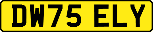 DW75ELY