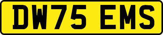 DW75EMS