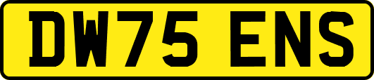 DW75ENS