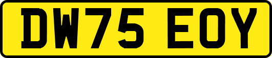 DW75EOY