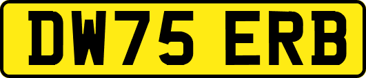 DW75ERB