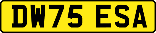 DW75ESA