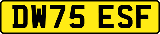 DW75ESF