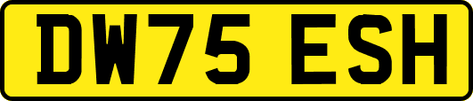 DW75ESH