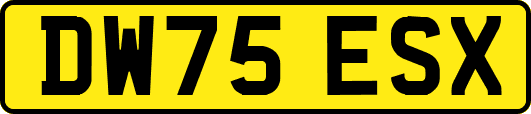 DW75ESX