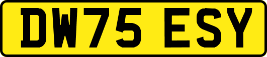 DW75ESY