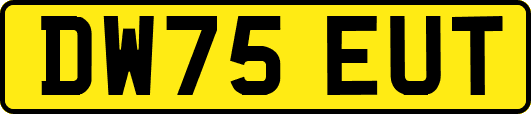 DW75EUT