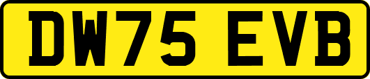 DW75EVB