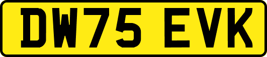 DW75EVK