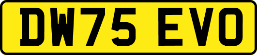 DW75EVO