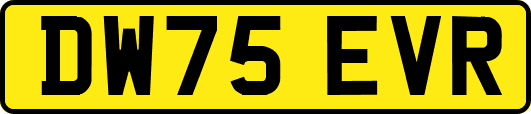 DW75EVR