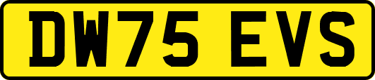 DW75EVS