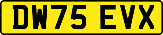 DW75EVX