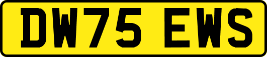 DW75EWS