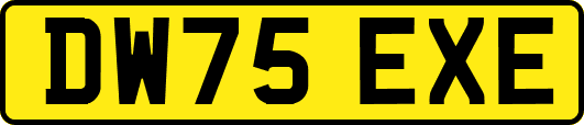 DW75EXE