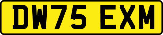 DW75EXM