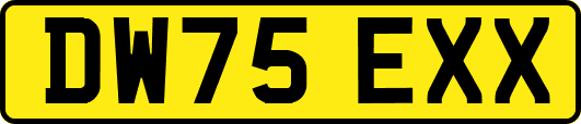 DW75EXX