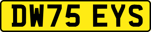 DW75EYS