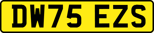 DW75EZS