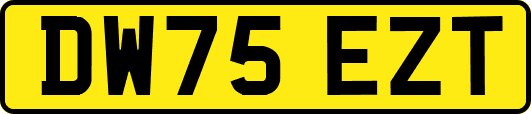 DW75EZT