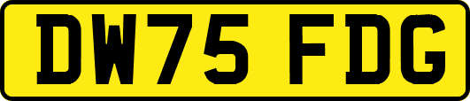 DW75FDG