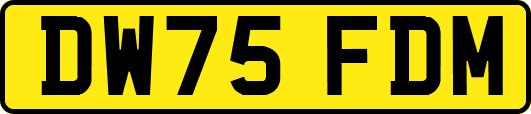 DW75FDM