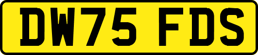 DW75FDS