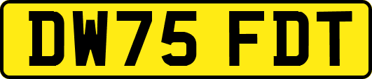 DW75FDT