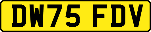 DW75FDV