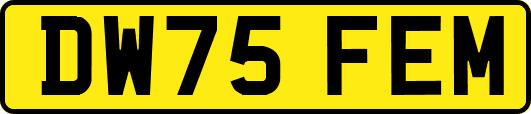 DW75FEM