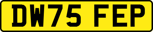 DW75FEP
