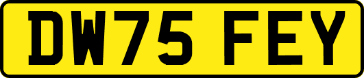 DW75FEY