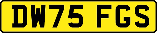 DW75FGS