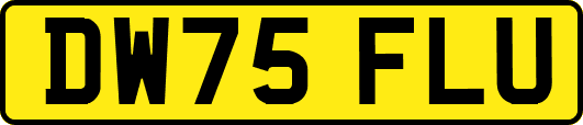 DW75FLU