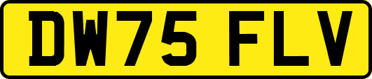 DW75FLV