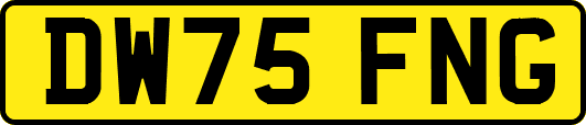 DW75FNG