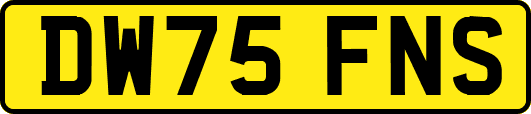 DW75FNS