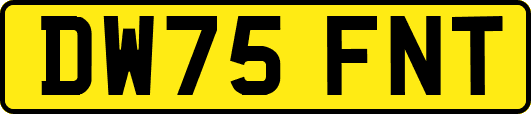 DW75FNT
