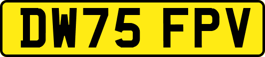 DW75FPV