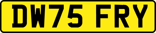 DW75FRY