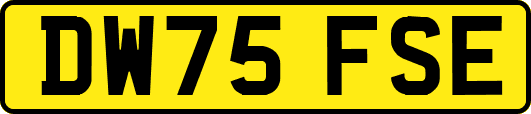 DW75FSE