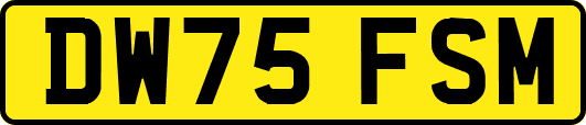 DW75FSM
