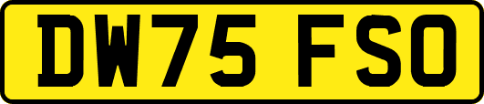 DW75FSO