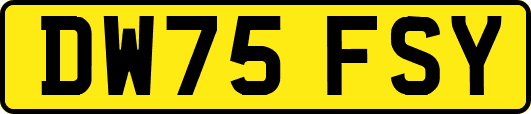 DW75FSY