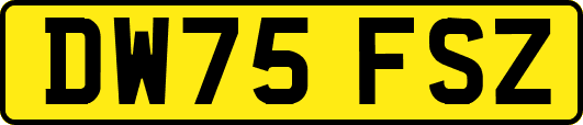 DW75FSZ