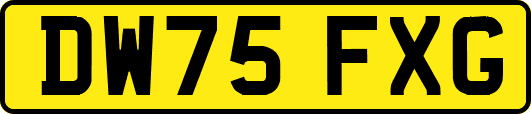 DW75FXG